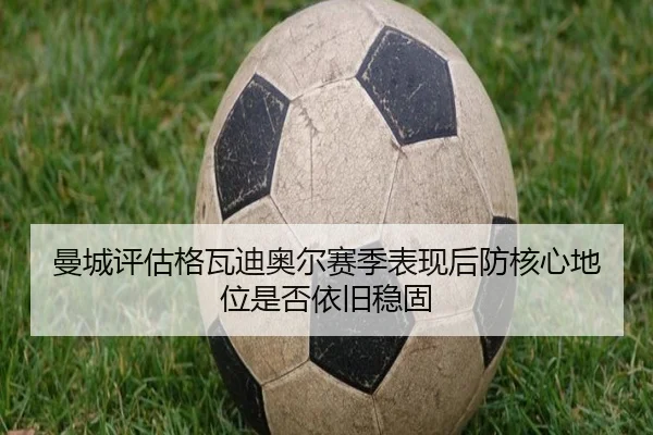 曼城评估格瓦迪奥尔赛季表现后防核心地位是否依旧稳固