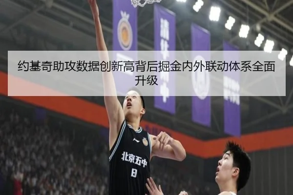 约基奇助攻数据创新高背后掘金内外联动体系全面升级