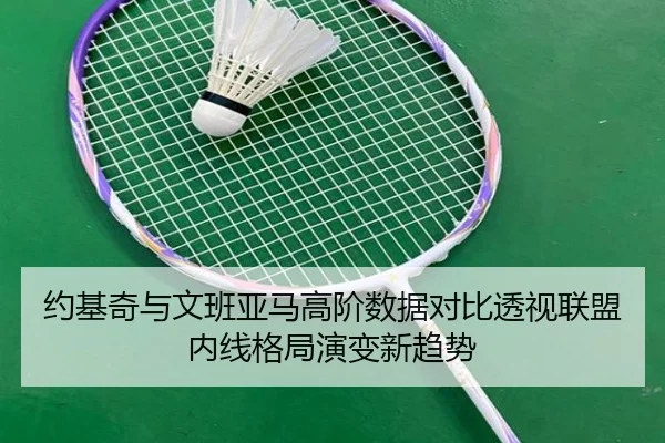 约基奇与文班亚马高阶数据对比透视联盟内线格局演变新趋势